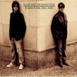 Echo And The Bunnymen : B-sides & Live (2001–2005)